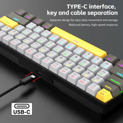 K33 61 Keys RGB Mechanical Gaming Keyboard – Blue Switch, Wired USB-C, Compact 60% Layout